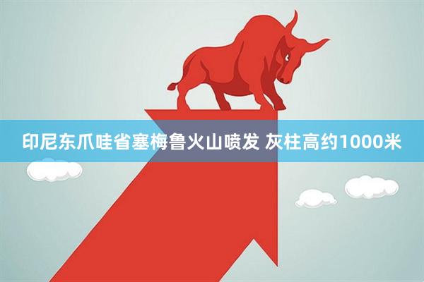 印尼东爪哇省塞梅鲁火山喷发 灰柱高约1000米
