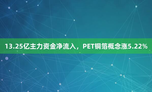 13.25亿主力资金净流入，PET铜箔概念涨5.22%