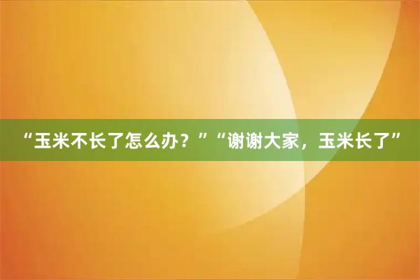 “玉米不长了怎么办？”“谢谢大家，玉米长了”