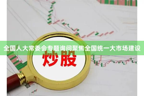 全国人大常委会专题询问聚焦全国统一大市场建设