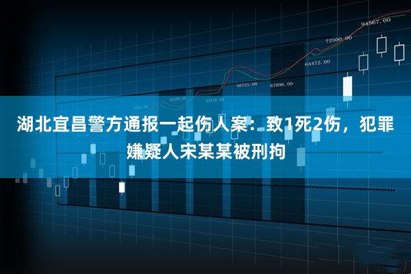 湖北宜昌警方通报一起伤人案：致1死2伤，犯罪嫌疑人宋某某被刑拘
